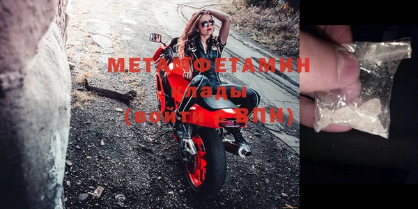 ГАЛЛЮЦИНОГЕННЫЕ ГРИБЫ Абаза