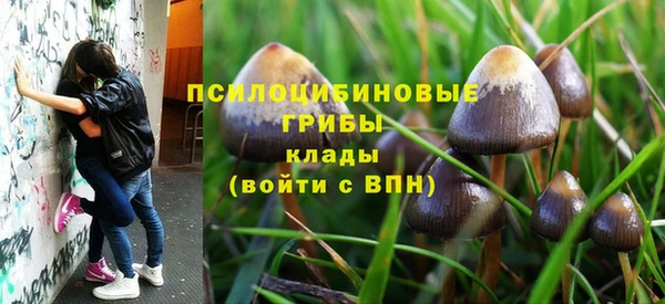 ГАЛЛЮЦИНОГЕННЫЕ ГРИБЫ Абаза