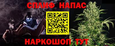гашик Новозыбков