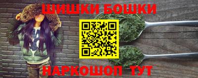 гашик Новозыбков