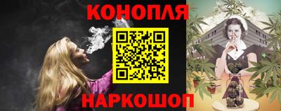 гашик Новозыбков