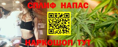 гашик Новозыбков