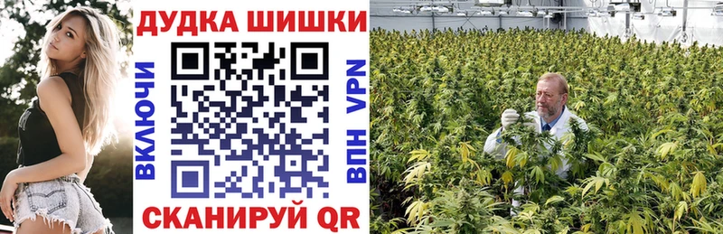 Конопля White Widow MEGA зеркало Черногорск